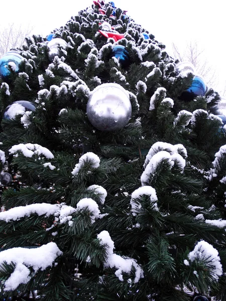 Χριστουγεννιάτικο Έλατο Μπάλες Και Χιόνι Επιλεκτική Εστίαση Κάτω Προς Πάνω — Φωτογραφία Αρχείου