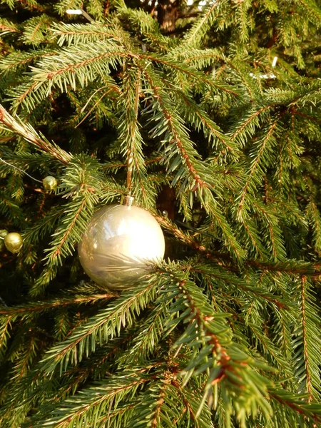Bolas Prata Numa Árvore Natal Foco Selectivo Foto Alta Qualidade — Fotografia de Stock