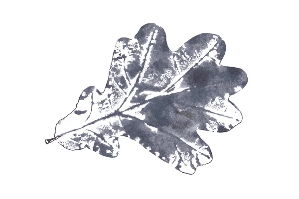 Eichenblatt Druck Grafische Schwarz Weiß Zeichnung Isoliert Auf Weißem Hintergrund — Stockfoto