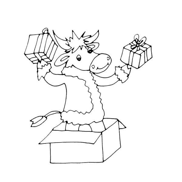 Taureau Symbole 2021 Surgissant Une Boîte Avec Des Cadeaux Dans — Photo