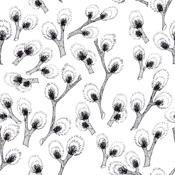 Seamless Pattern Twigs Blossoming Pussy Willow Graphic Black White Drawing — 图库照片