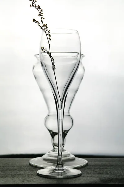 Copas de vidrio transparentes y copas de vino y hierbas secas sobre un fondo claro, enfoque selectivo —  Fotos de Stock