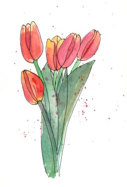 Beyaz arka planda kırmızı lale buketi. Yüksek kaliteli illüstrasyon