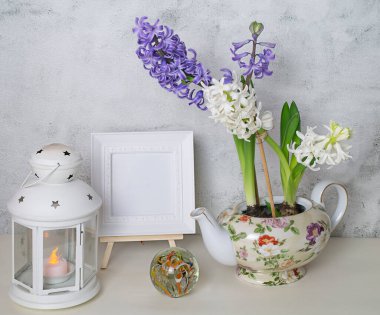 Işık arka planında sümbül ve fener olan bahar modeli. Yüksek kalite fotoğraf