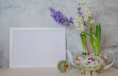 Işık arka planında sümbülleri olan bahar modeli. Yüksek kalite fotoğraf