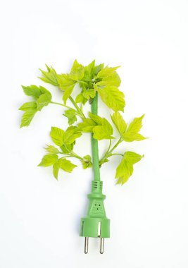 Beyaz arkaplanda yeşil yapraklı yeşil elektrik prizi, ekoloji konsepti, kopyalama alanı