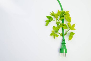 Beyaz arka planda yeşil yapraklı yeşil elektrik prizi, ekoloji konsepti, kopyalama alanı. Yüksek kalite fotoğraf