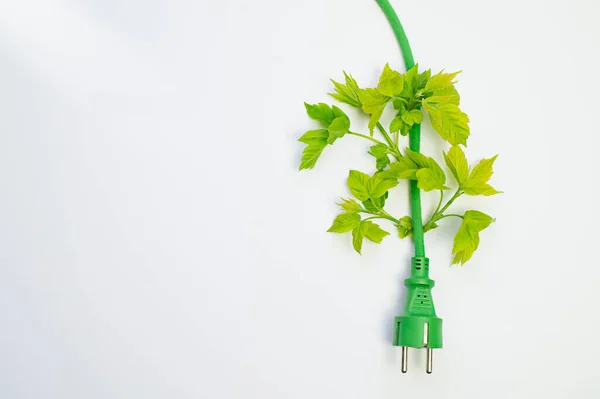 Tapón Eléctrico Verde Con Hojas Verdes Sobre Fondo Blanco Concepto —  Fotos de Stock