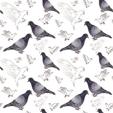 Suluboya güvercinlerinin kusursuz deseni ve doğrusal grafik siyah beyaz uçan güvercinler çiziyor. Yüksek kalite fotoğraf