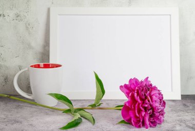 Beyaz çerçeve, beyaz kupa ve kırmızı şakayık model için açık arkaplan, boşluğu kopyala