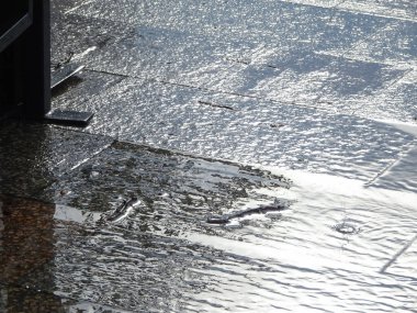 Yaz yağmurunda ıslak asfalt levhalar. kalite fotoğraf