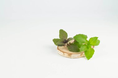 Tahta bir zeminde kırmızı ve yeşil fesleğenler, kopyalama alanı. Yüksek kalite fotoğraf