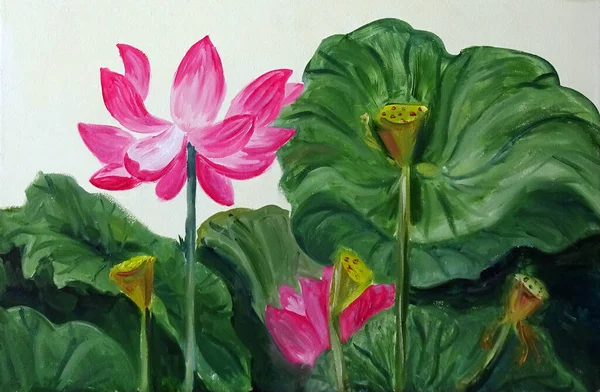 Lotus flowers and bolls on a background of green leaves, oil painting. High quality illustration