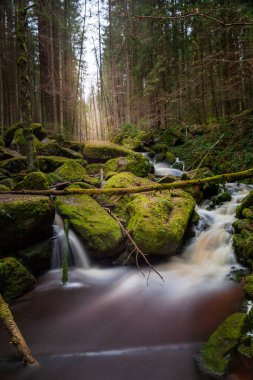 Çek Cumhuriyeti 'ndeki ormandaki şelaleler