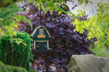 Hayvanat bahçesi bahçesine ahşap kuş evi asın.