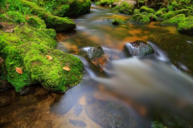 Yumuşak suyu olan güzel bir şelale. Bu görüntü ince bir taneye, gürültüye ve pürüzsüz keskinliğe sahiptir..
