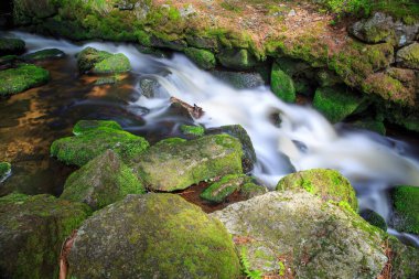 Yumuşak suyu olan güzel bir şelale. Bu görüntü ince bir taneye, gürültüye ve pürüzsüz keskinliğe sahiptir..