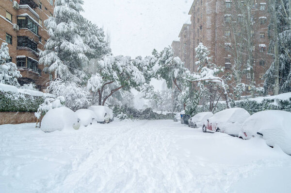 Streets of Madrid blanketed with the heaviest snowfall in 50 years