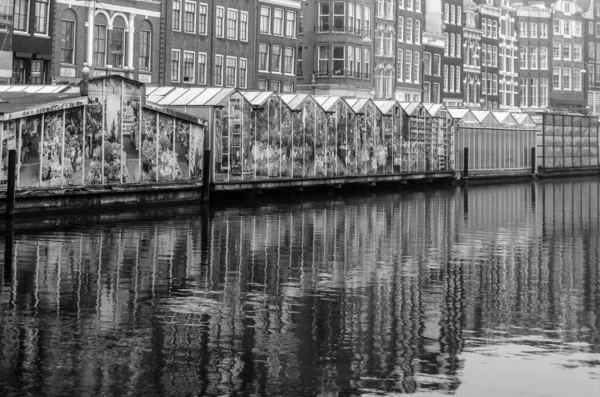 Amsterdam Niederlande November 2018 Blick Auf Den Blumenmarkt Amsterdam Eine — Stockfoto