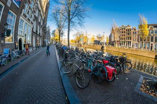 Amsterdam Hollandia November 2018 Urban Scene Amsterdam Hollandia Halszemre Néző — Stock Fotó