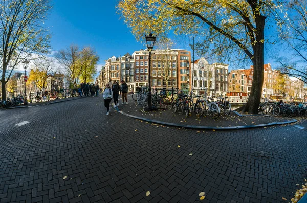 Amsterdam Hollandia November 2018 Urban Scene Amsterdam Hollandia Halszemre Néző — Stock Fotó