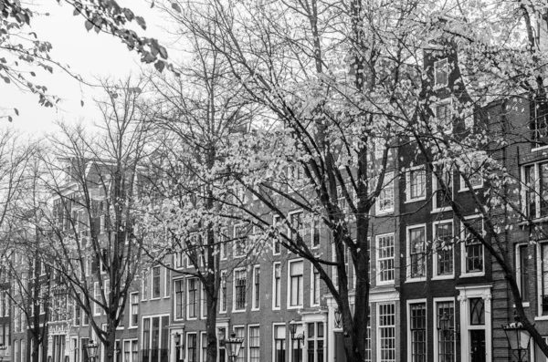 Typická Holandská Architektura Amsterdamu Nizozemsko Černobílý Obrázek — Stock fotografie