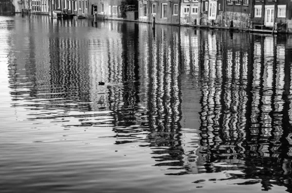 Kanal Boyunca Evler Amsterdam Hollanda Daki Sulardaki Yansımaları Siyah Beyaz — Stok fotoğraf