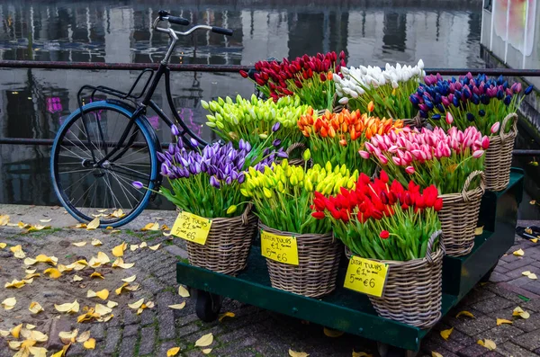 Városi Jelenet Amszterdamban Hollandiában Gyönyörű Sokszínű Tulipánokkal Eladó Csatorna Partján — Stock Fotó
