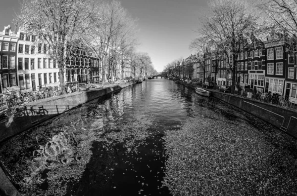 Stadtlandschaft Amsterdam Niederlande Fischperspektive Schwarz Weiß Bild — Stockfoto