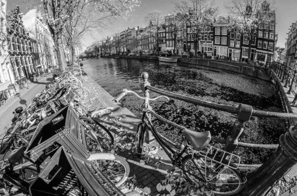 Stadtlandschaft Amsterdam Niederlande Fischperspektive Schwarz Weiß Bild — Stockfoto