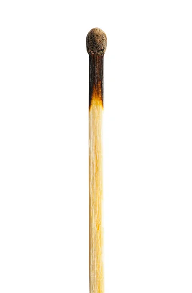 Single Burnt Match Stick Cut Out White — 스톡 사진