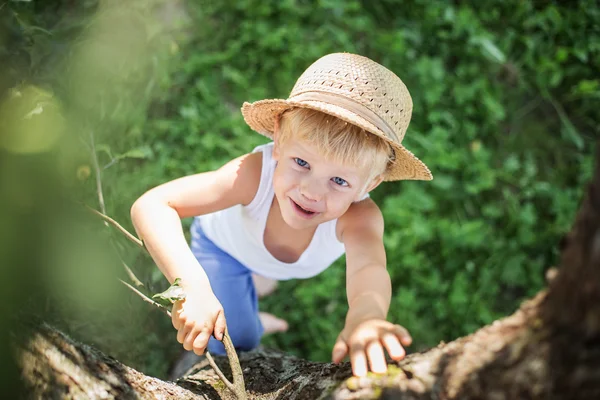 Mooi kind met een stro hoed klimt in een boom — Stockfoto