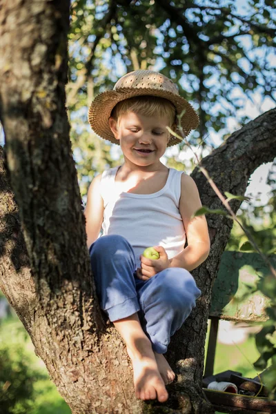 Красивый маленький мальчик сидит на дереве и держит яблоко — стоковое фото