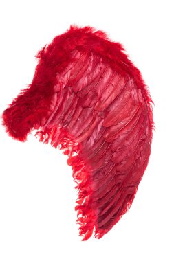 Büyük kırmızı kanat