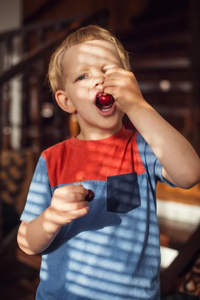 Happy little toddler boy eat berry. Outdoor portrait — Stockfoto