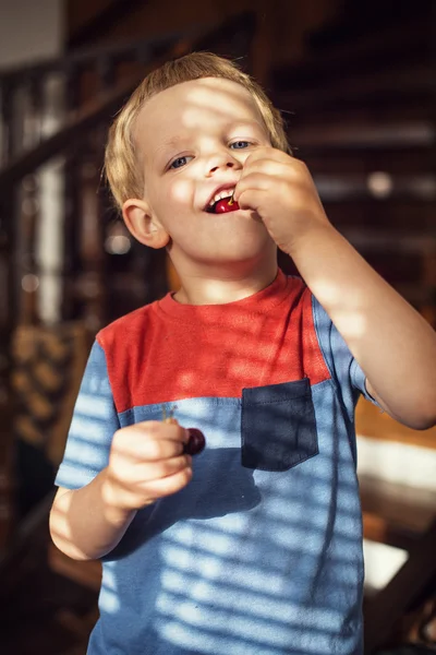 Happy little toddler boy eat berry. Outdoor portrait — Stock Photo, Image