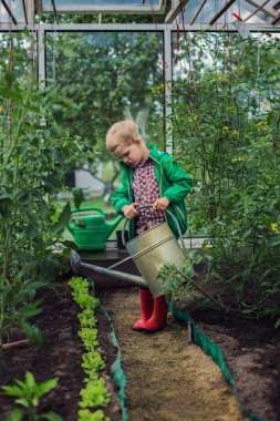 Little boy watering the vegetables in Greenhouse. Garden