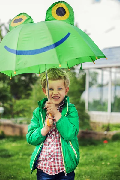Adorable toddler boy with green frog umbrella — Stock Photo, Image