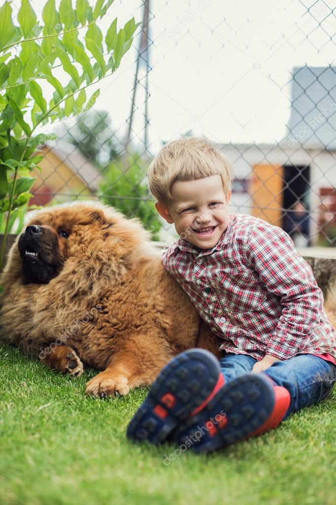 Child lovingly embraces his pet dog. Chow Chow