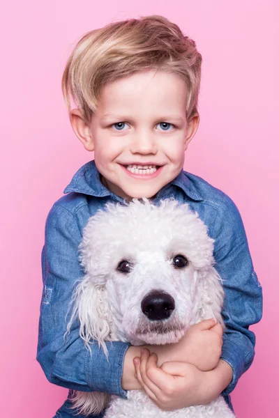 Lindo menino com Royal Standard Poodle. Retrato de estúdio sobre fundo rosa. Conceito: amizade entre menino e seu cachorro — Fotografia de Stock