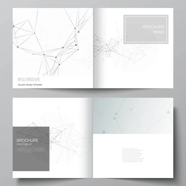 Vector layout of two covers templates for square bifold brochure, flyer, magazine, cover design, book design, brochure cover. Gray technology background with connecting lines and dots. Network concept — Stock Vector