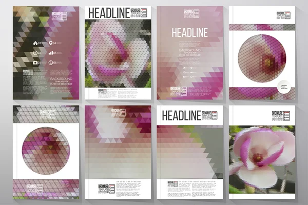 Business vector templates for brochure, flyer or booklet. Purple flowers. Collection of abstract multicolored backgrounds. Natural geometrical patterns. Triangular and hexagonal style — ストックベクタ