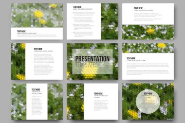 Set of 9 templates for presentation slides. Yellow flowers on the grass. Aabstract multicolored backgrounds. Natural geometrical patterns. Triangular and hexagonal style vector