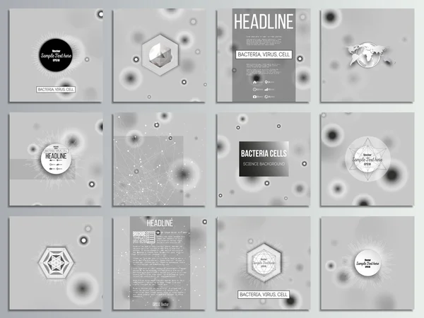 Комплект из 12 творческих карточек, квадратный шаблон брошюры. Молекулярные исследования, клетки в сером, научный векторный фон — стоковый вектор