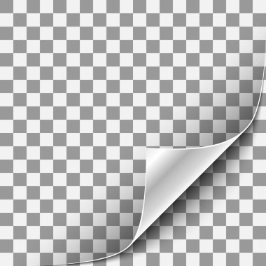 Şeffaf arka plan ile kıvrılmış köşe