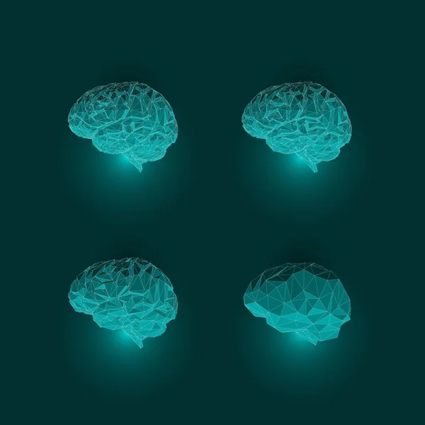 Set of Active Human Brains on Dark Background — Stock Vector