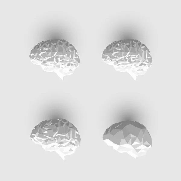 Set of Low Poly or Paper Brains. — Stock Vector