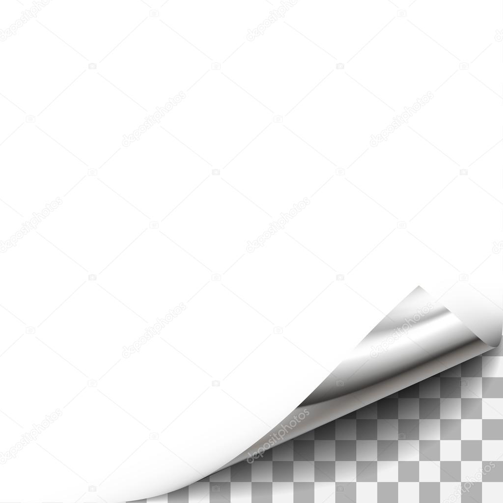 Curled paper corner with transparent background. — Stock Vector