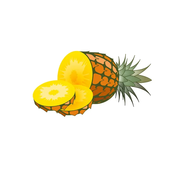 Illustration vectorielle de fruits de poire — Image vectorielle