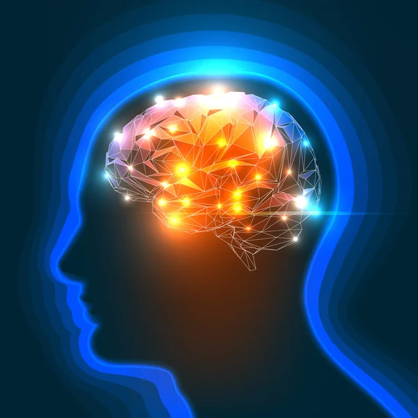 Ανθρώπινος εγκέφαλος — Διανυσματικό Αρχείο